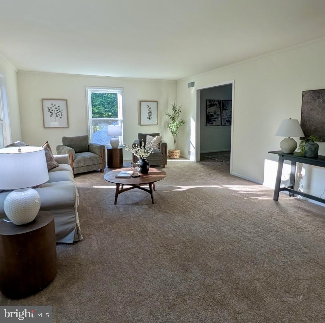 11 Pine Tree Drive photo 16