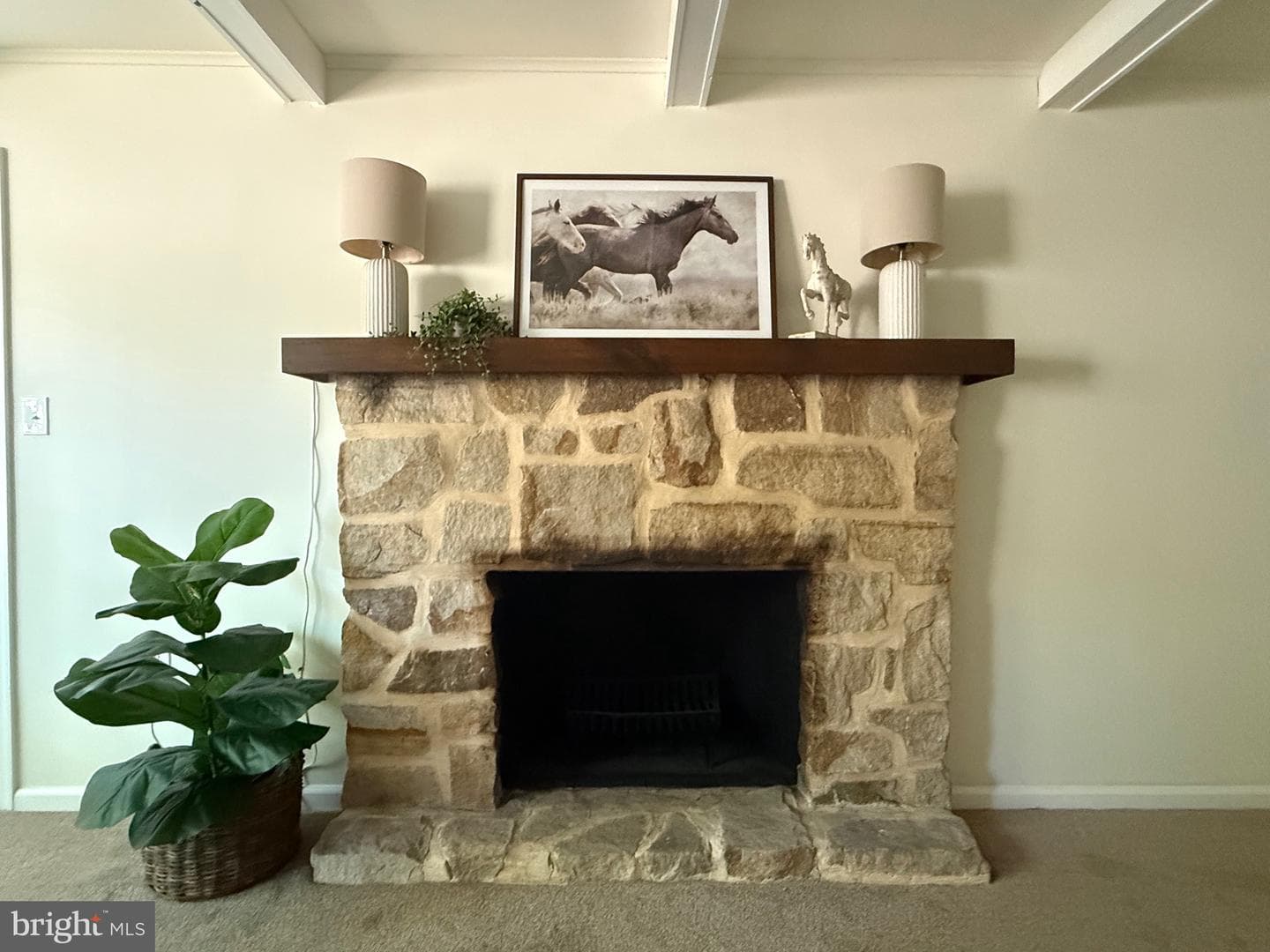 11 Pine Tree Drive photo 22