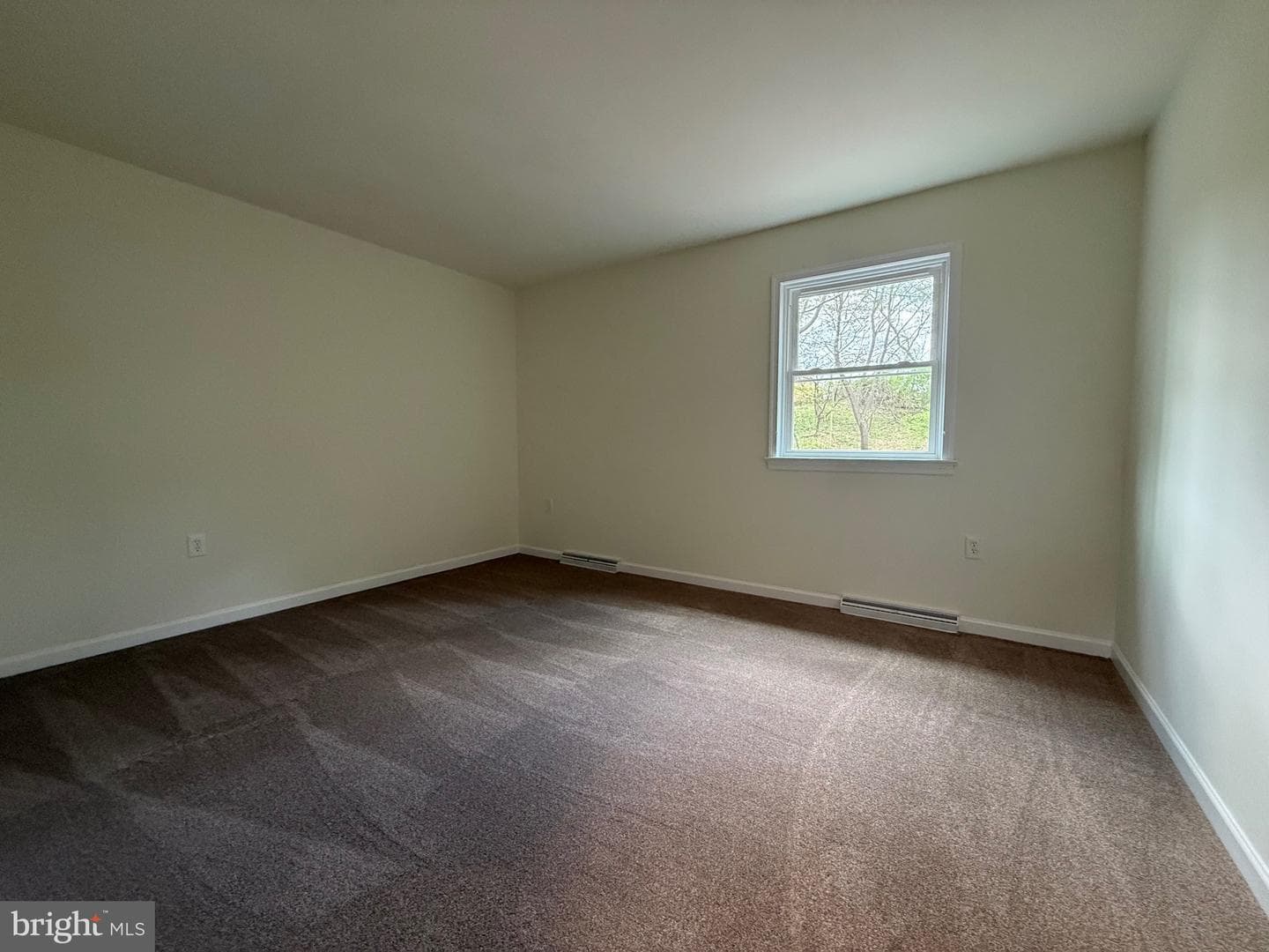 11 Pine Tree Drive photo 31