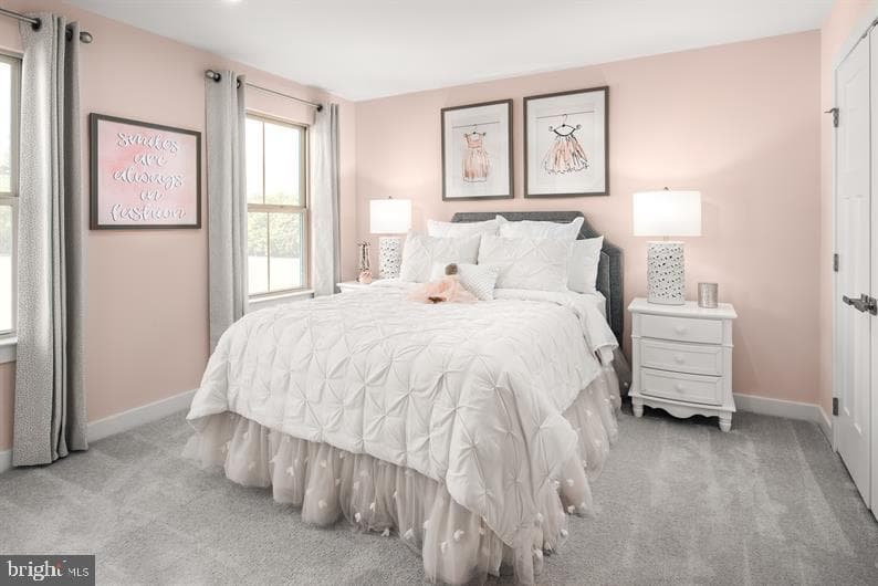 334 Ruffian Road photo 18