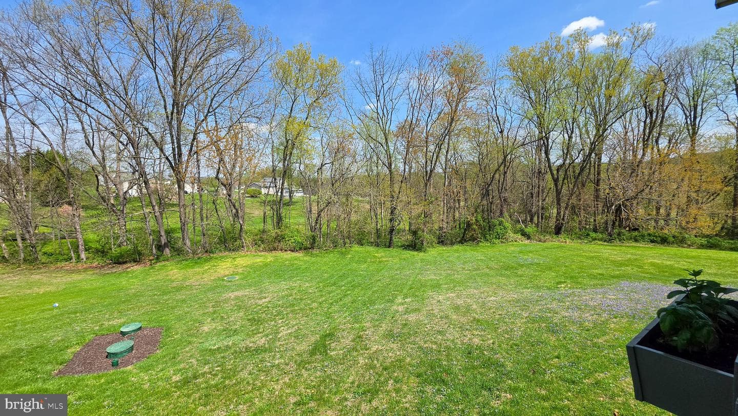6262 Thoman Drive photo 76