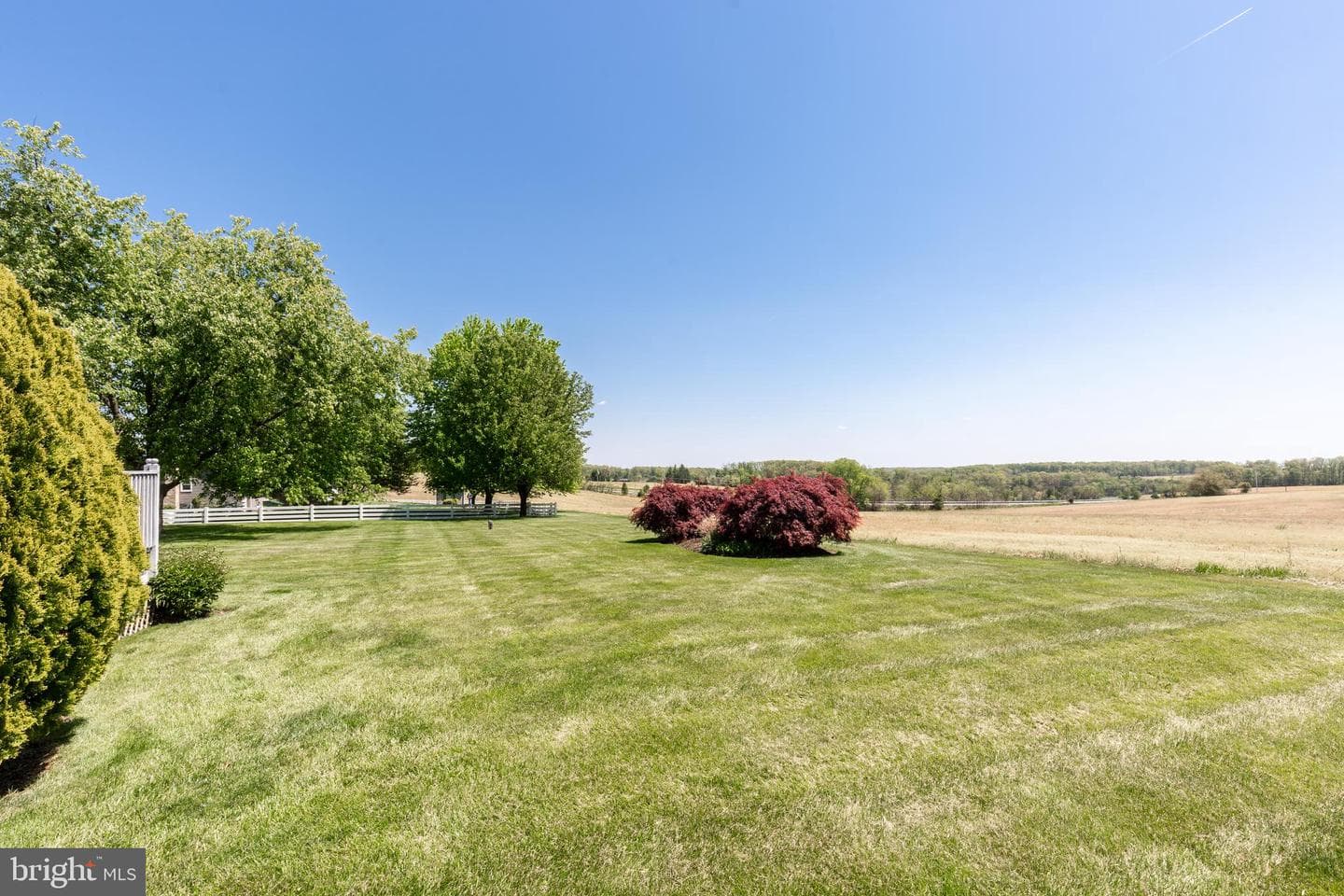 4548 Rinely Road photo 60