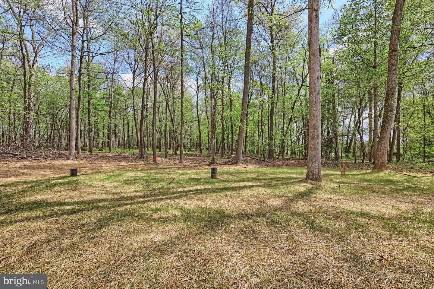 15937 Mcdowell Farm Lane photo 72