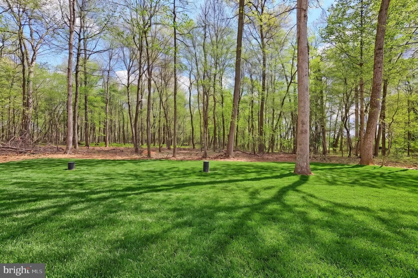 15937 Mcdowell Farm Lane photo 8