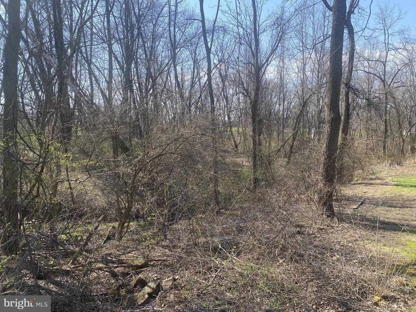 3230 Pebble Run Drive photo 19