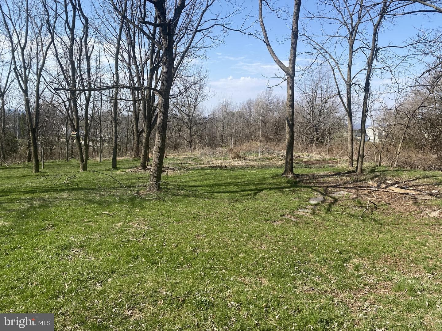 3230 Pebble Run Drive photo 7