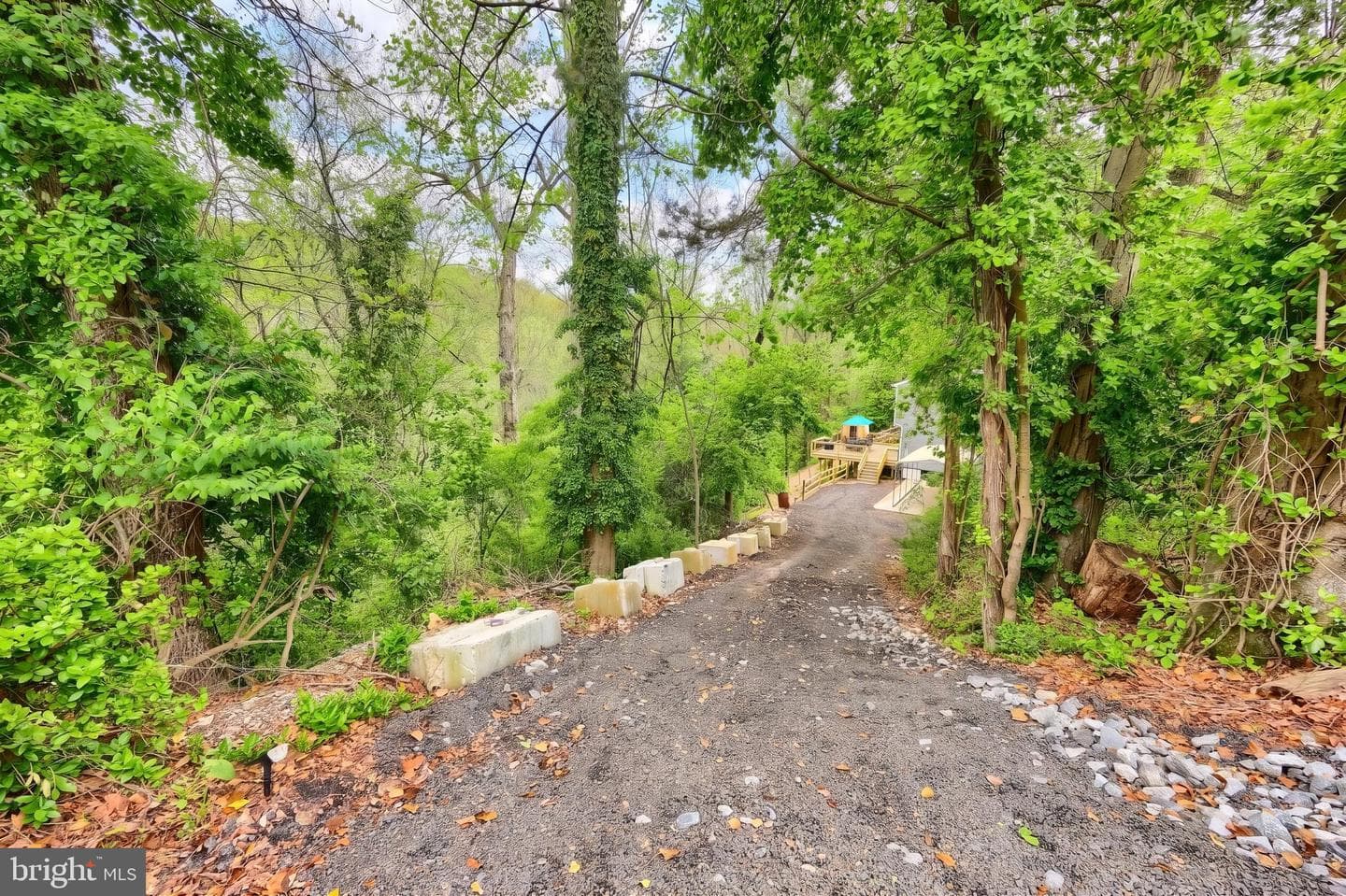 234 Hilltop Road photo 10
