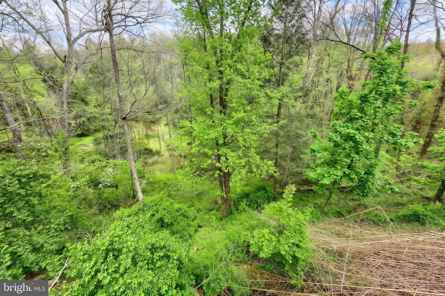 234 Hilltop Road photo 28