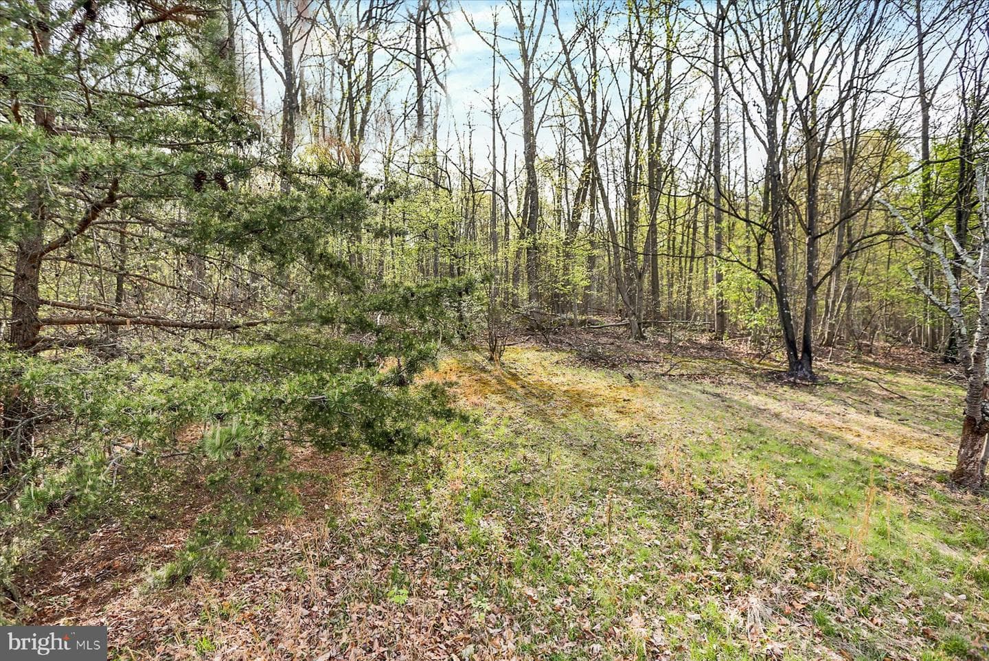 381 Rohlers Church Road photo 24