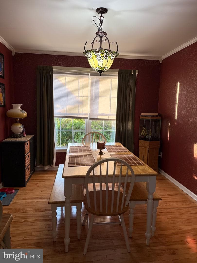 126 Cranbrook Drive photo 19