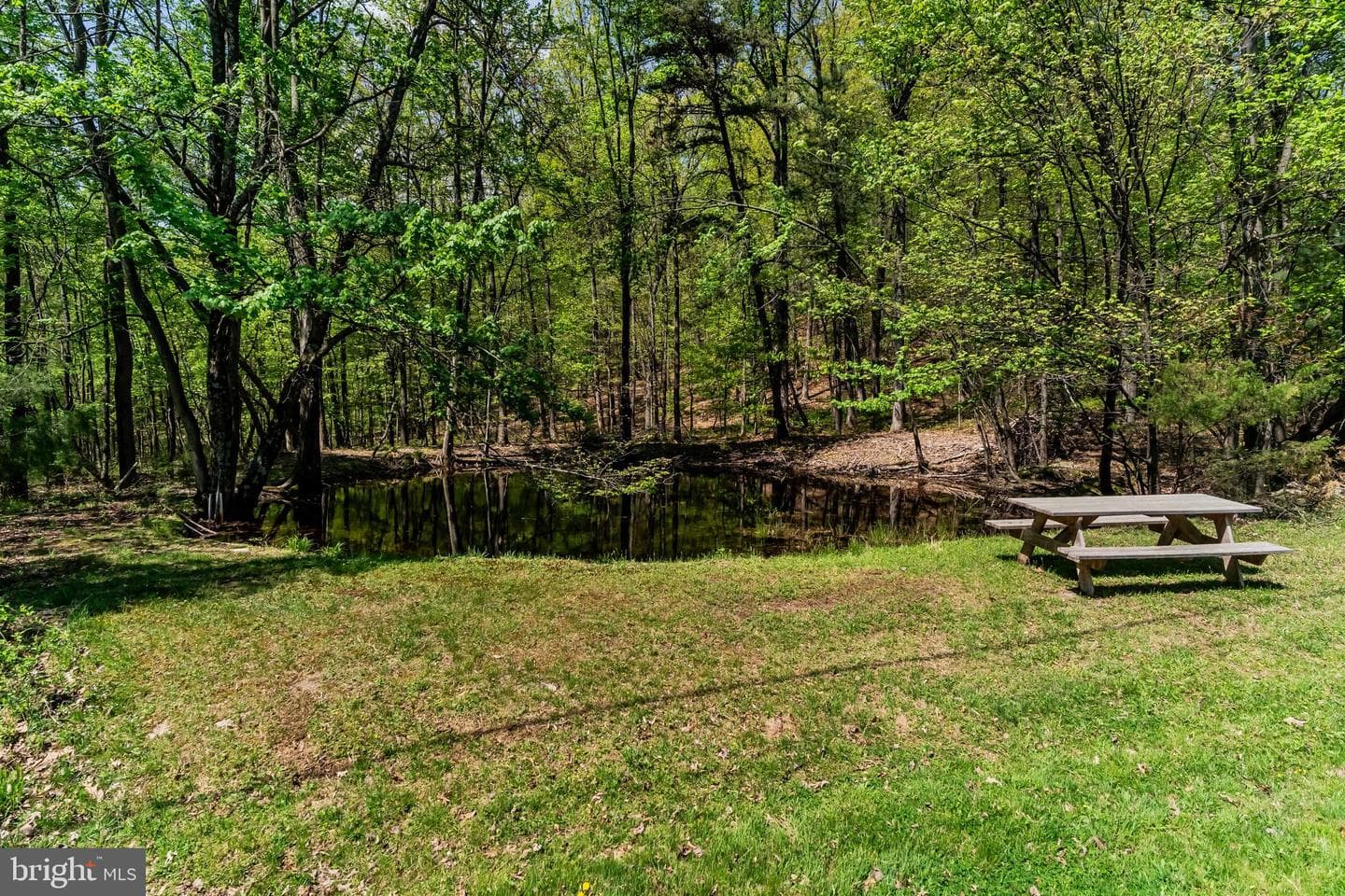 1134 S Mountain Road photo 53