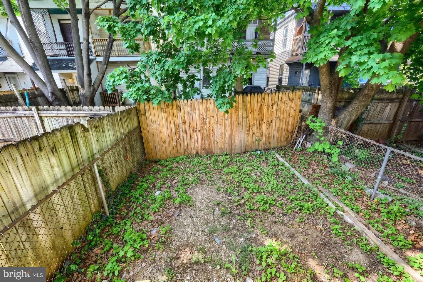 833 Linden Avenue photo 20