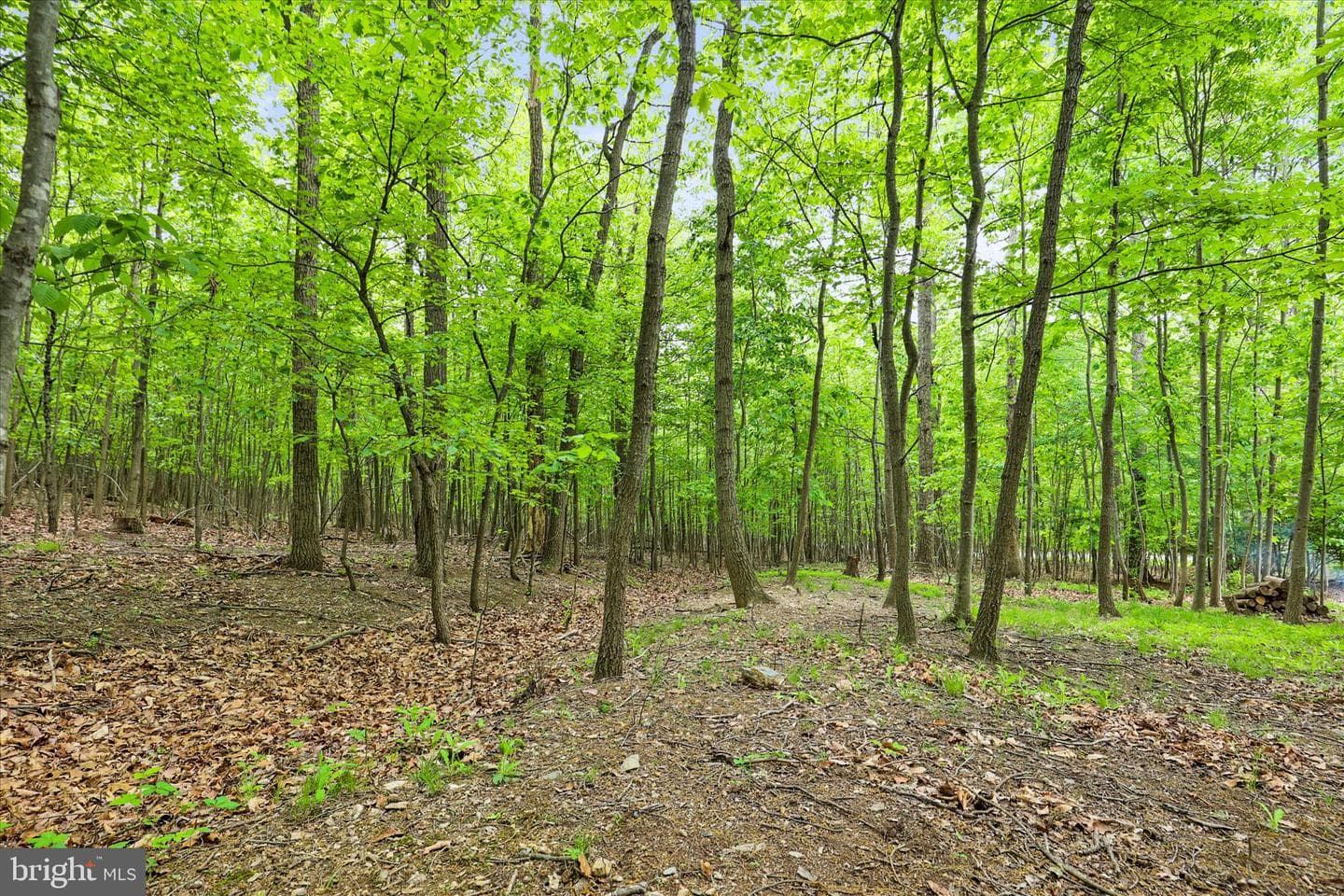 4442 Sunny Slope Road photo 53