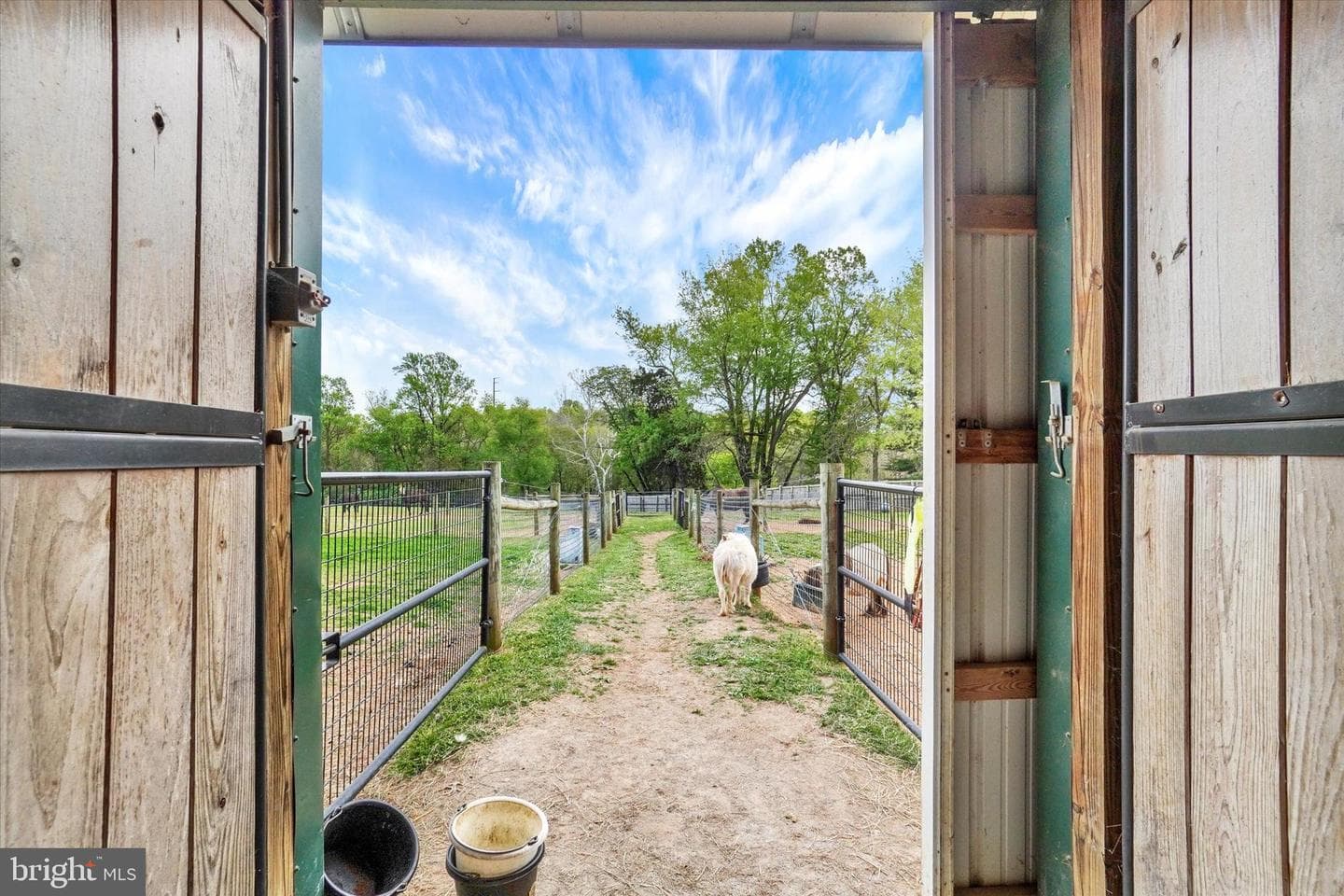8272 Woodbine Road photo 45