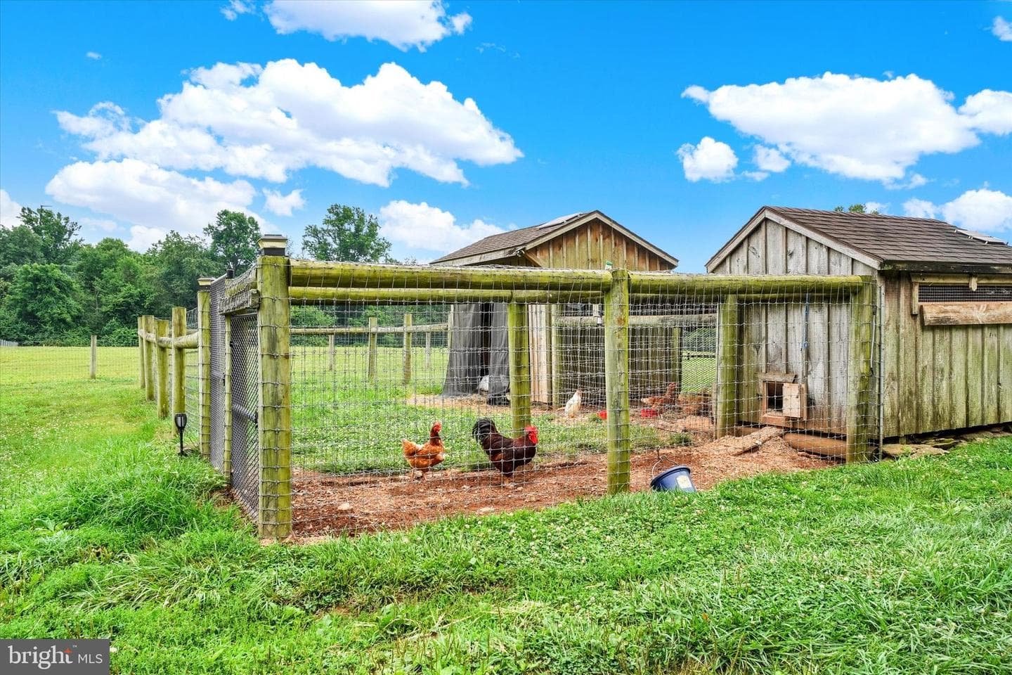 8272 Woodbine Road photo 63