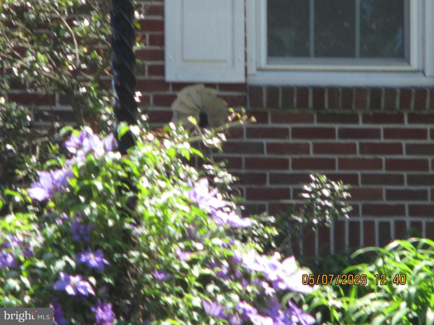 45 Ridgeway Drive photo 56
