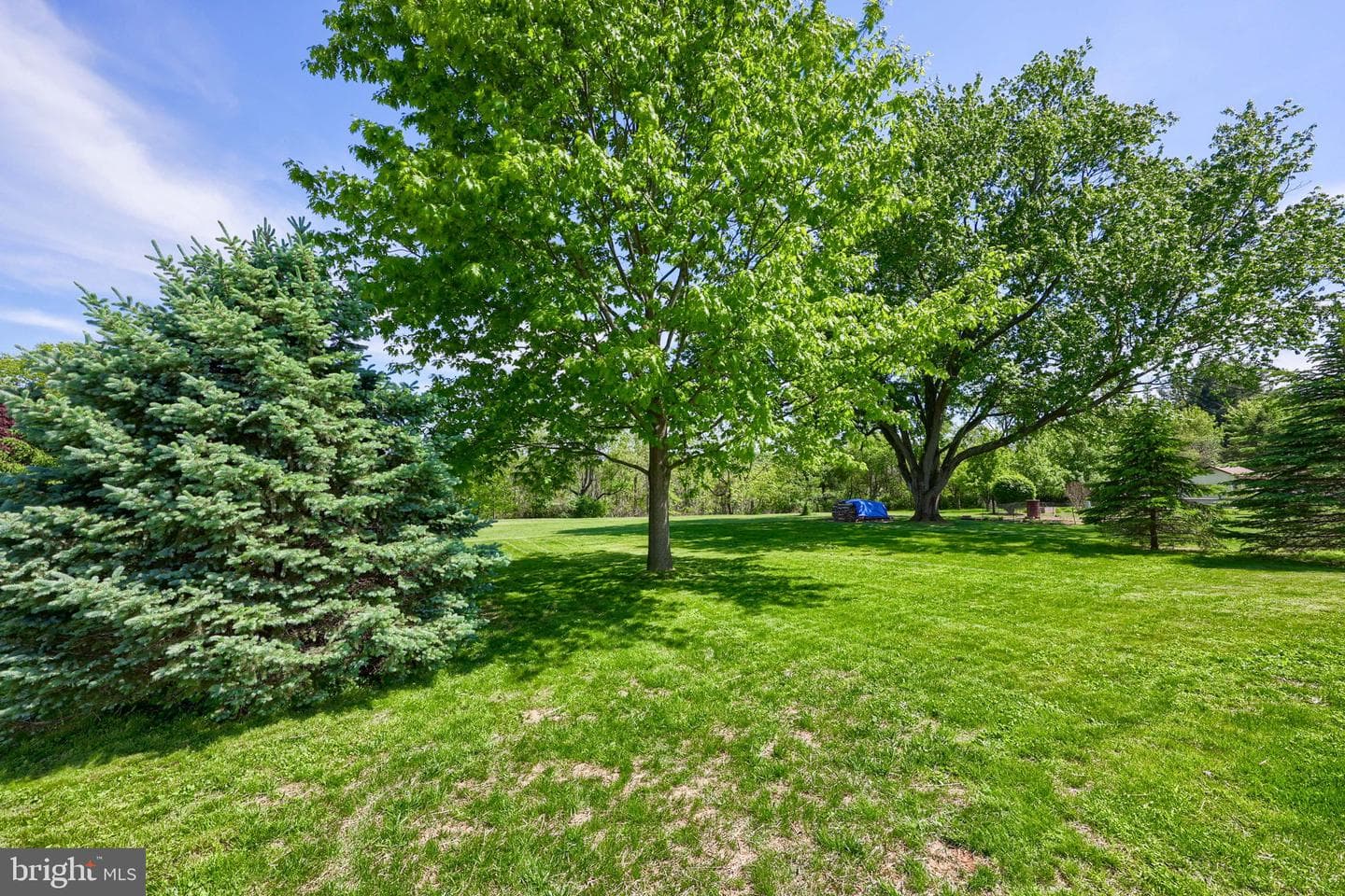 250 Nollyn Drive photo 35