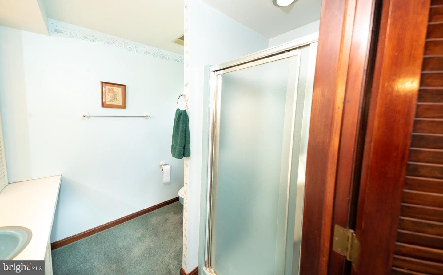 100 Albright Drive photo 49