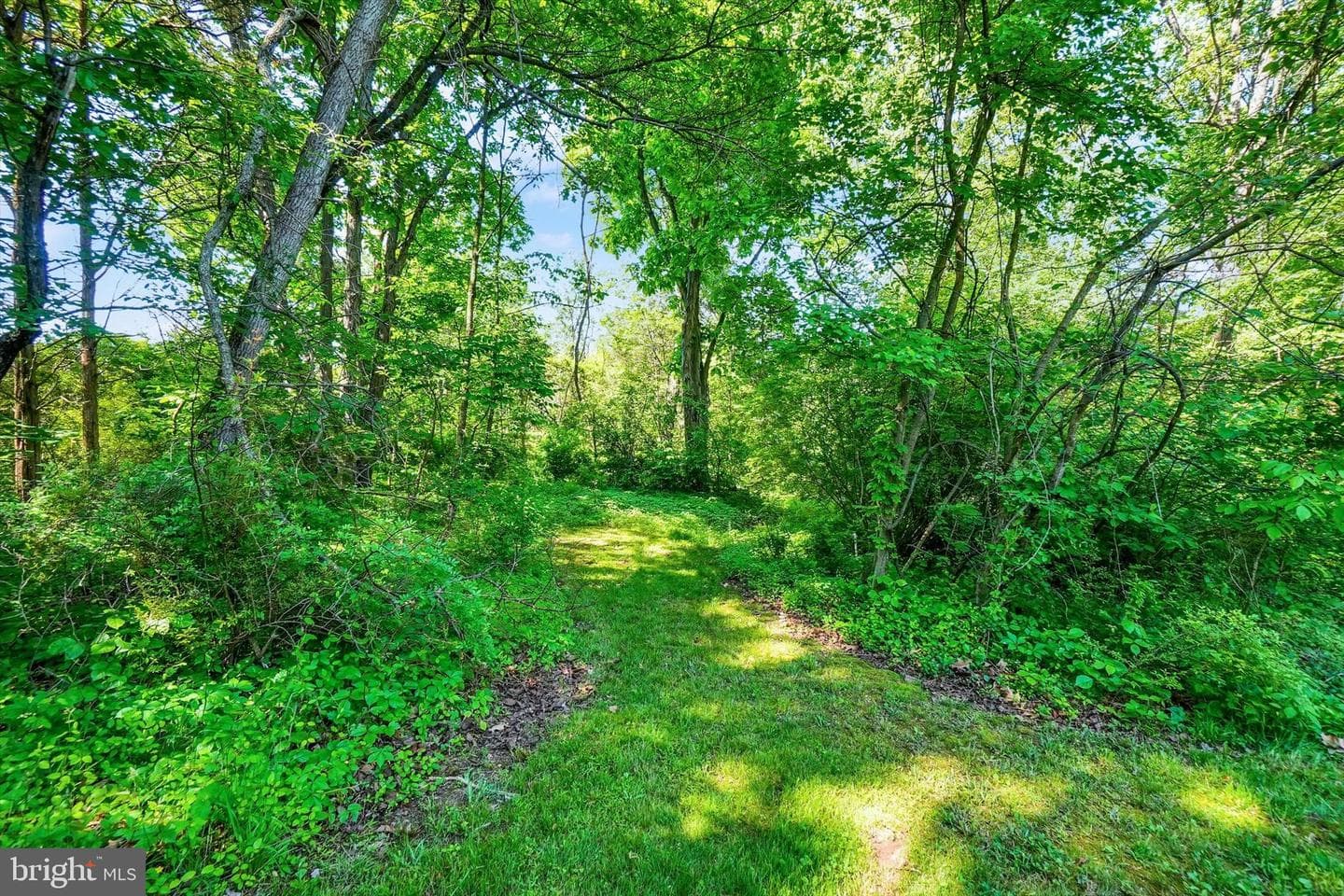 5801 N Salem Church Road photo 23