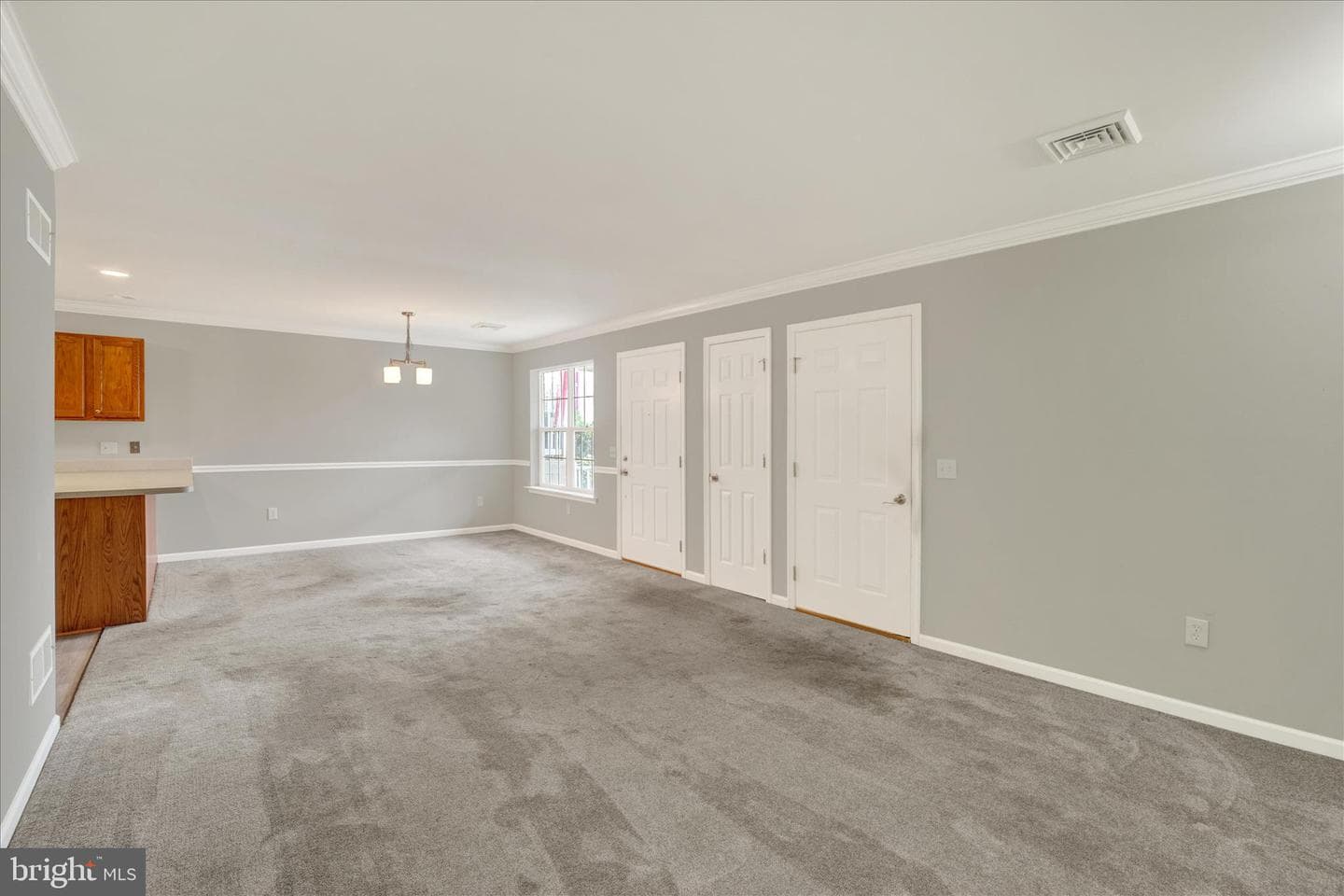 202 Equine Cove photo 8