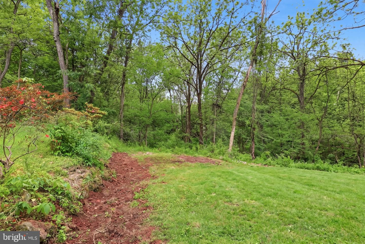 350 Juniper Drive photo 35