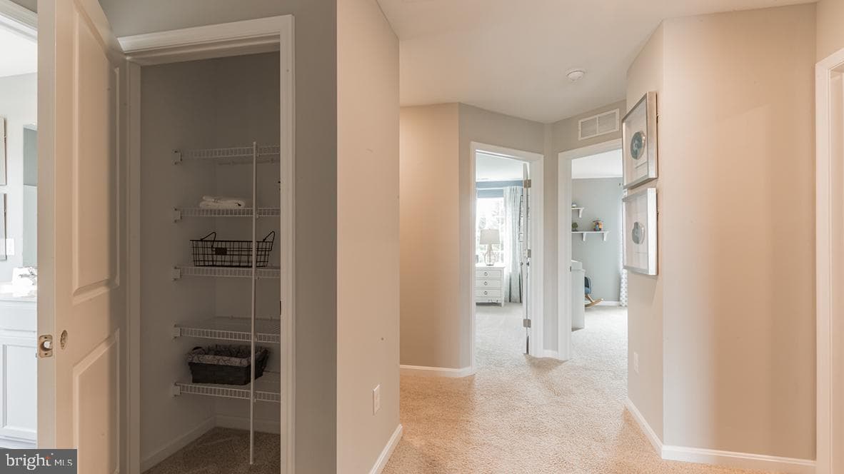 120 Christina Drive photo 18