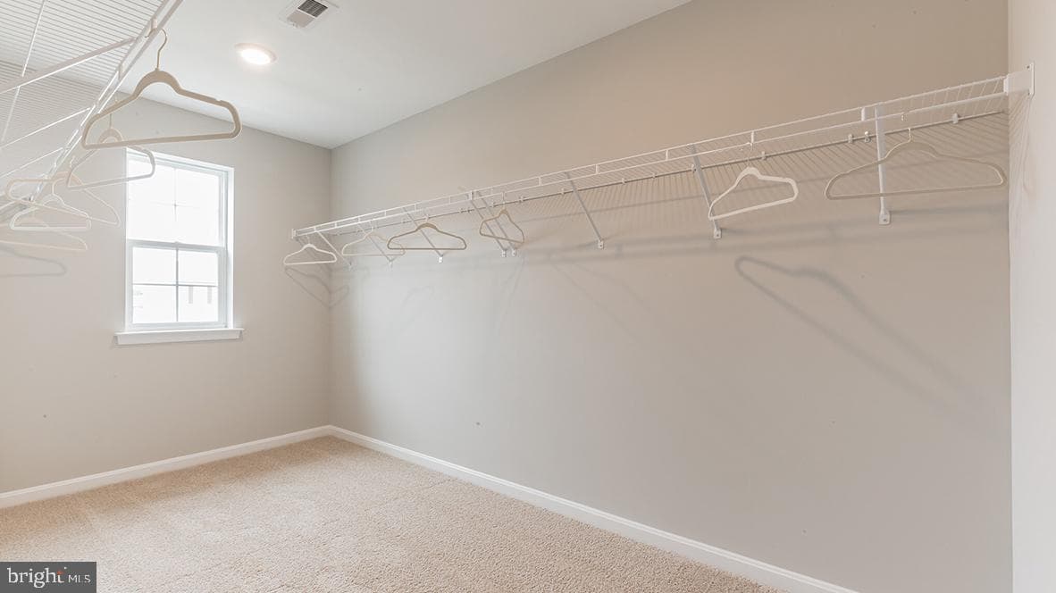 120 Christina Drive photo 29
