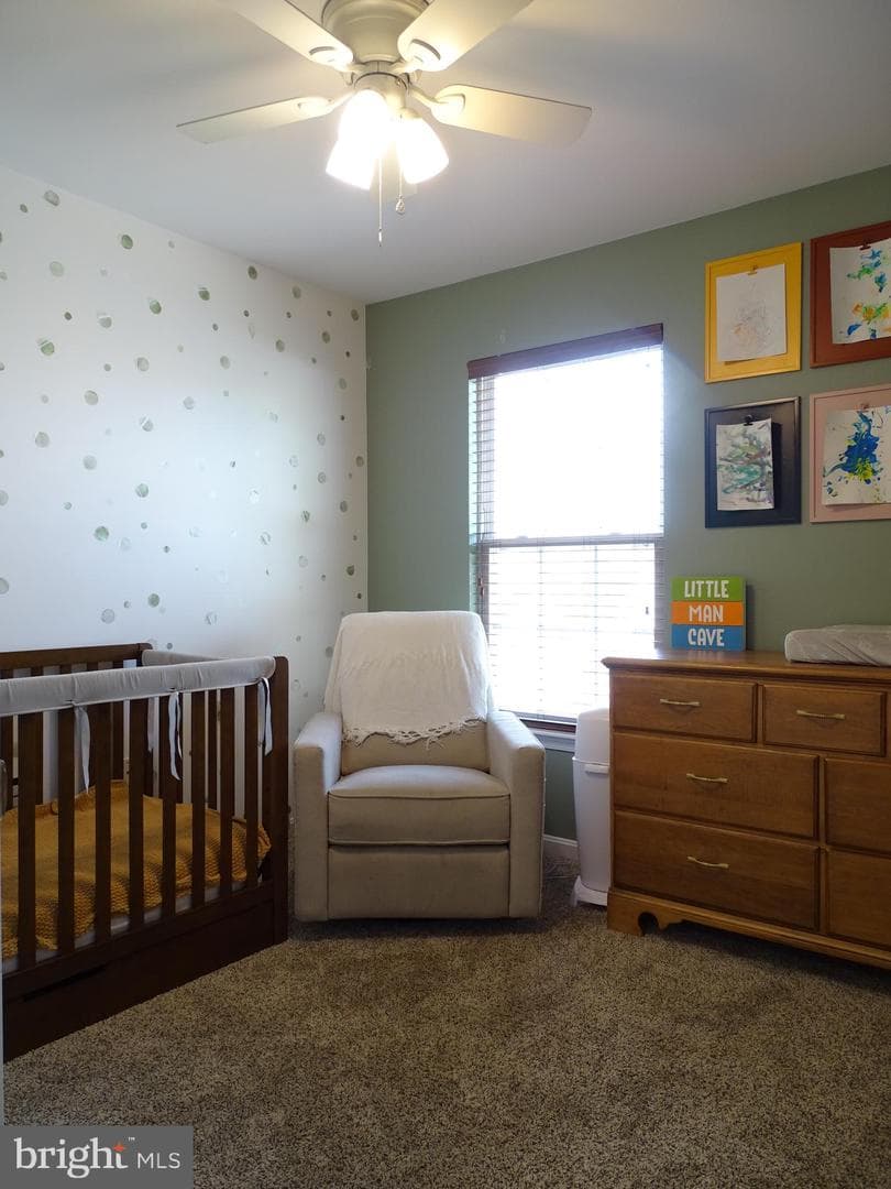 235 Fisher Drive photo 22