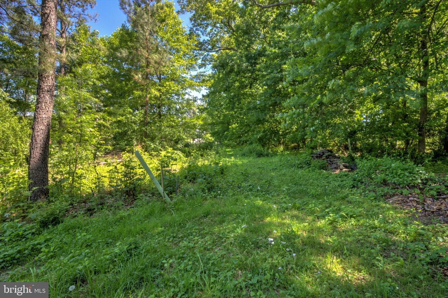3472 Messersmith Road photo 16