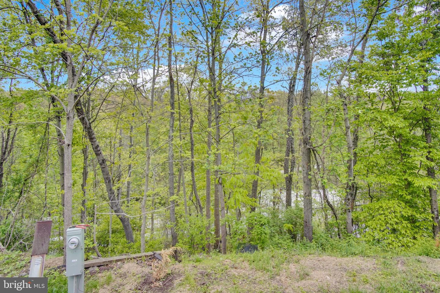 2001 Red Bank Road #509 photo 21