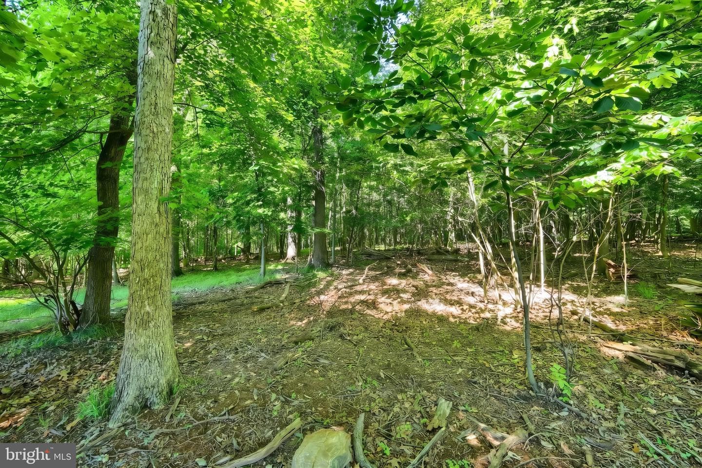 4350 Old Orchard Road photo 44