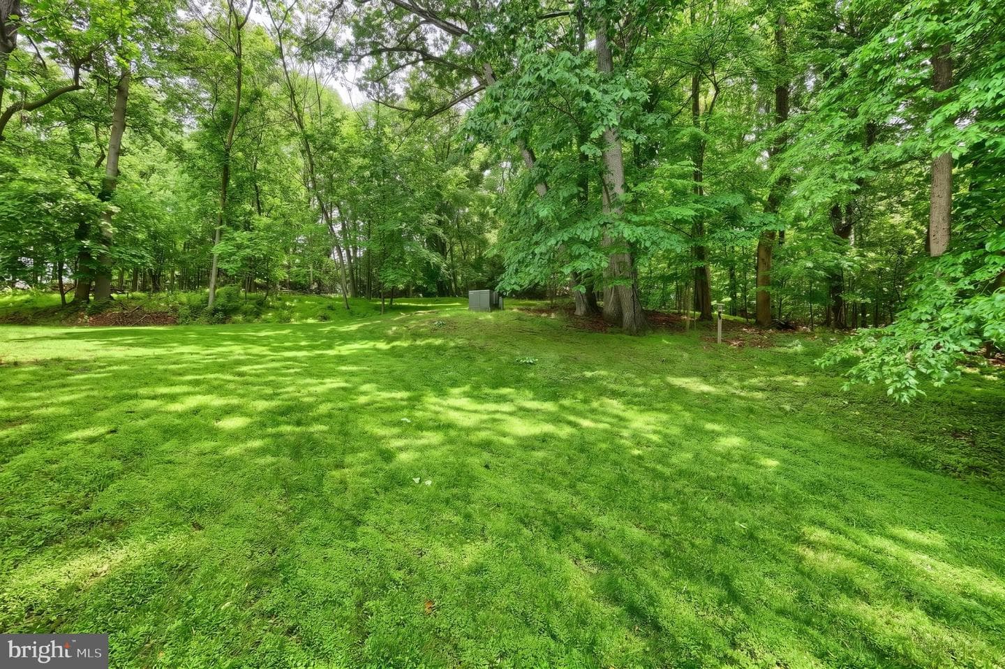 335 Laurel Drive photo 10