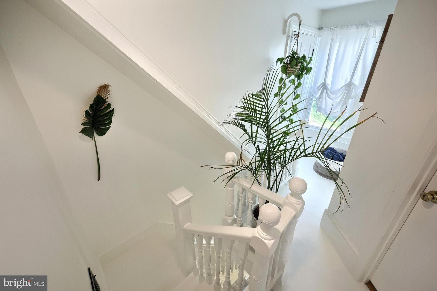 14 High Street photo 22