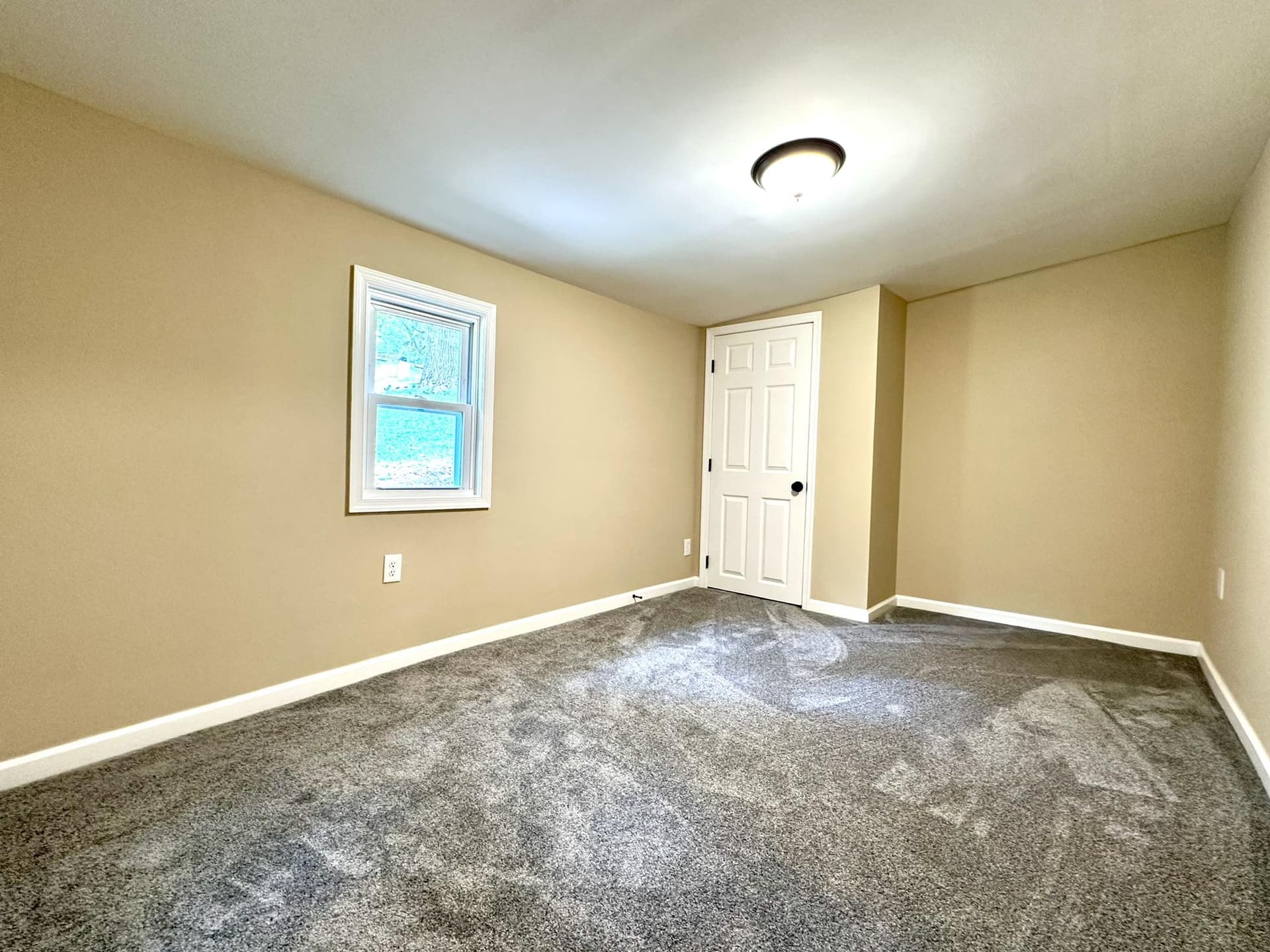 645 Park Street photo 12