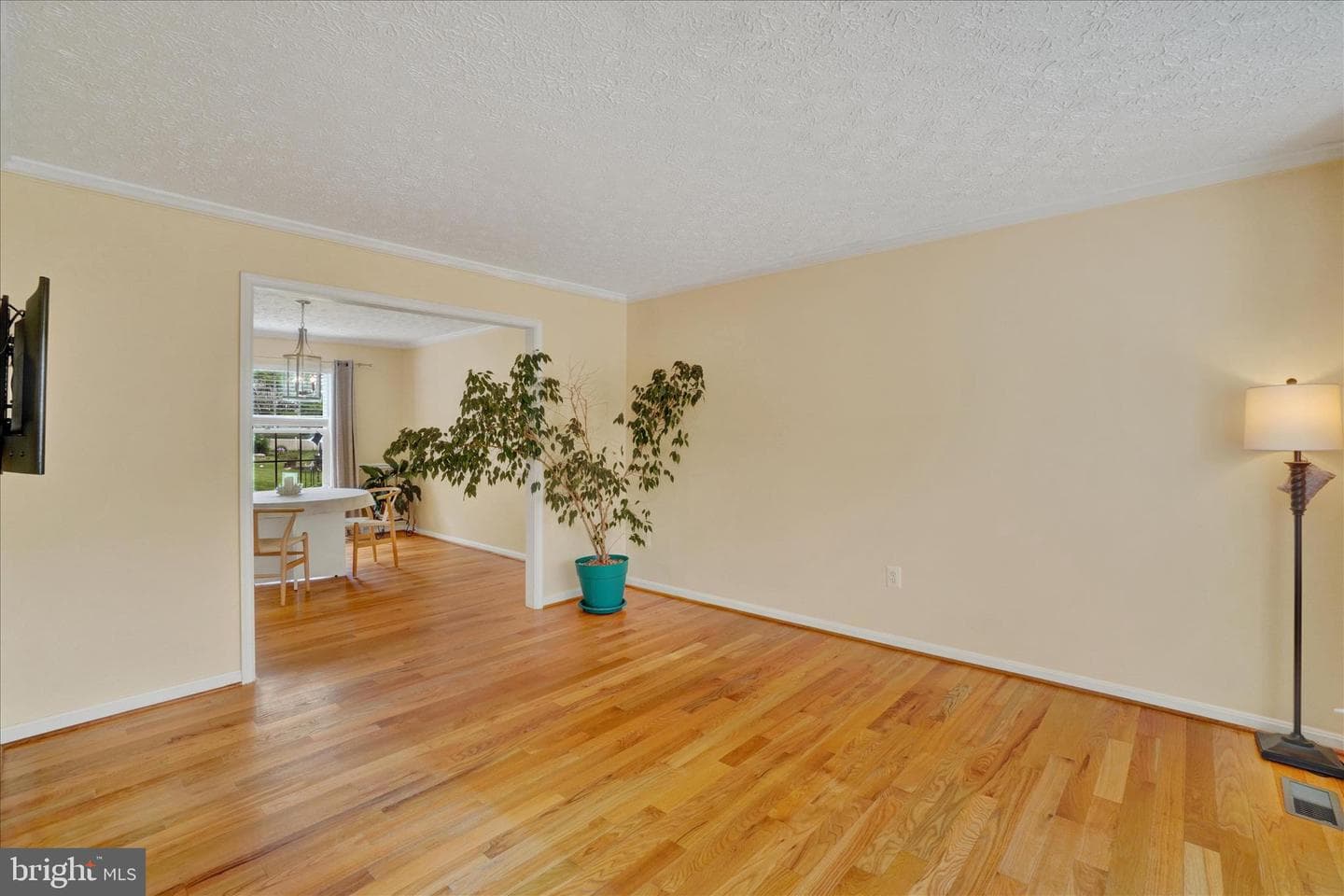 665 Clydesdale Drive photo 15