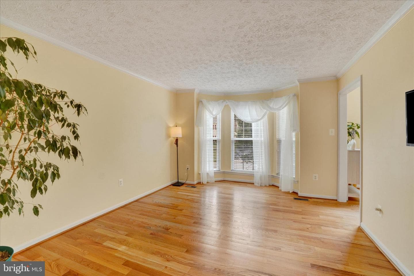 665 Clydesdale Drive photo 16