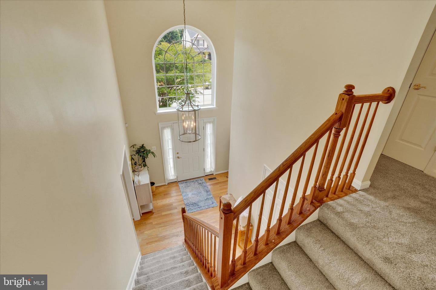 665 Clydesdale Drive photo 22