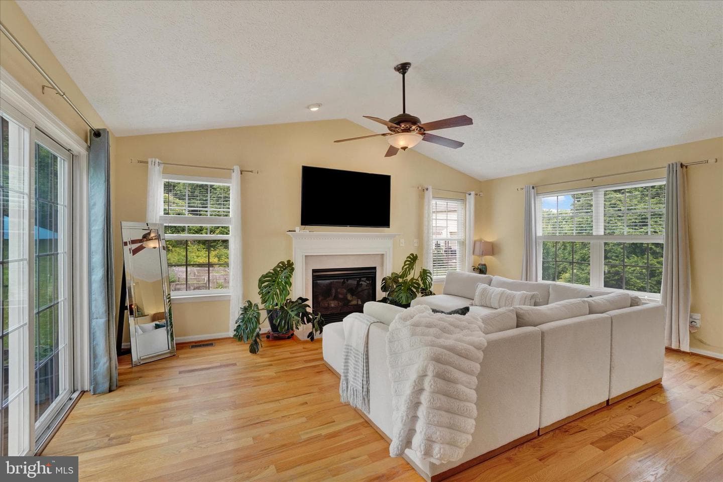 665 Clydesdale Drive photo 7