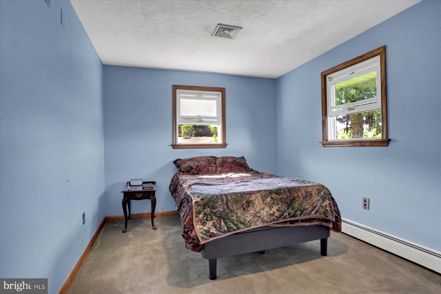 307 Mountain Road photo 19