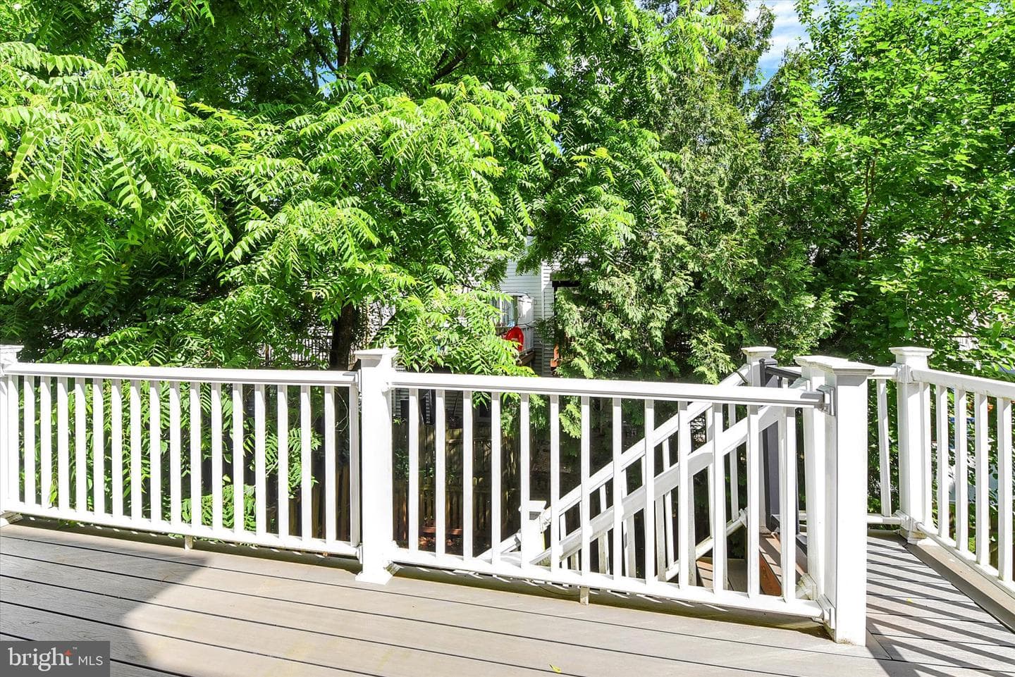 44 Rose Of Sharon Drive photo 18