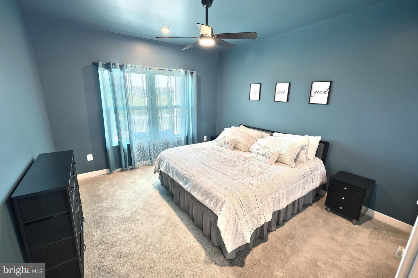 14 Winifred Drive photo 31