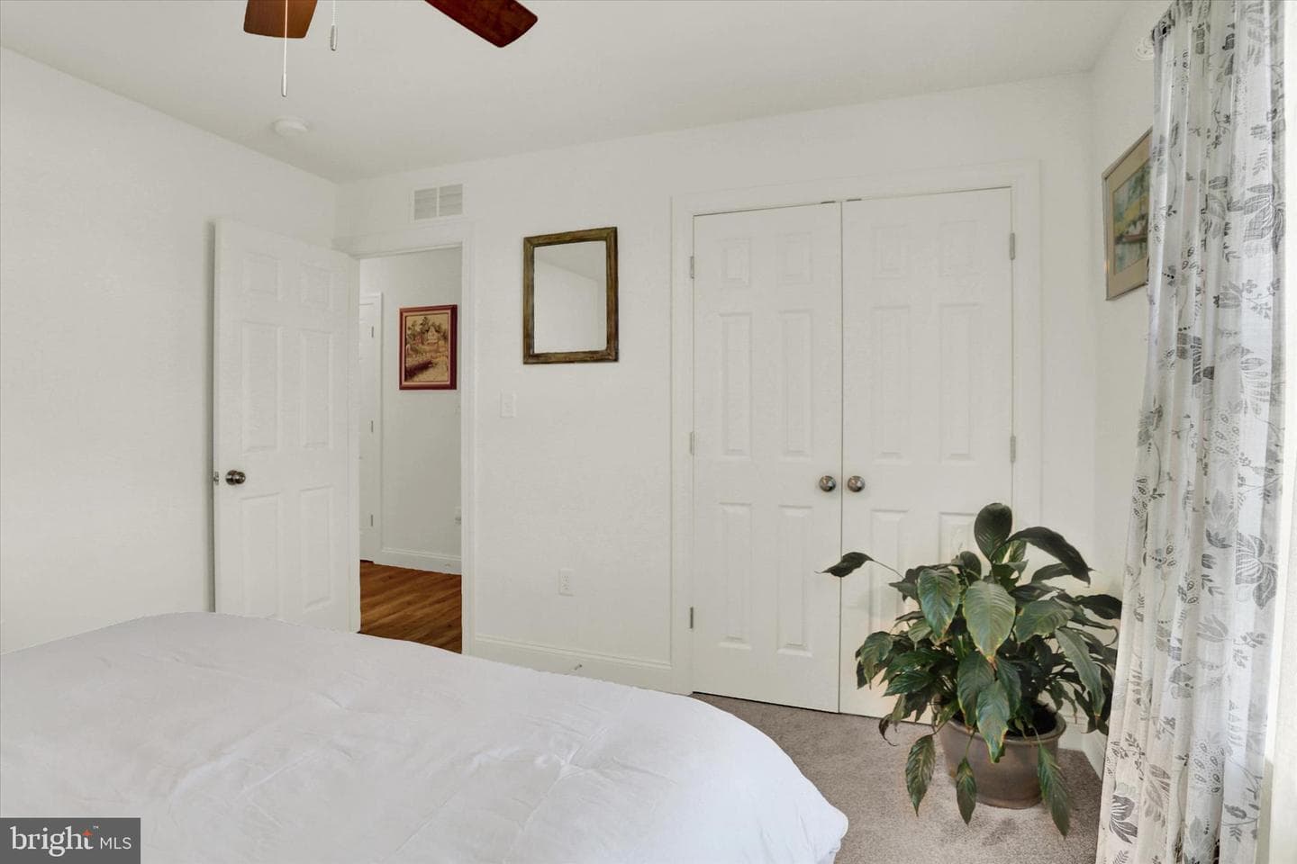 207 Eagle Road photo 23
