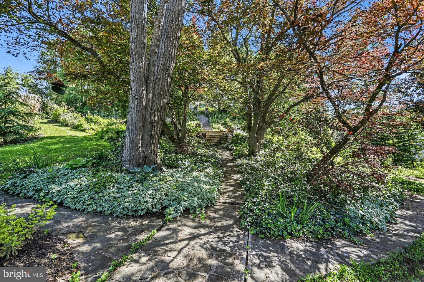 29 Hayward Heights photo 41