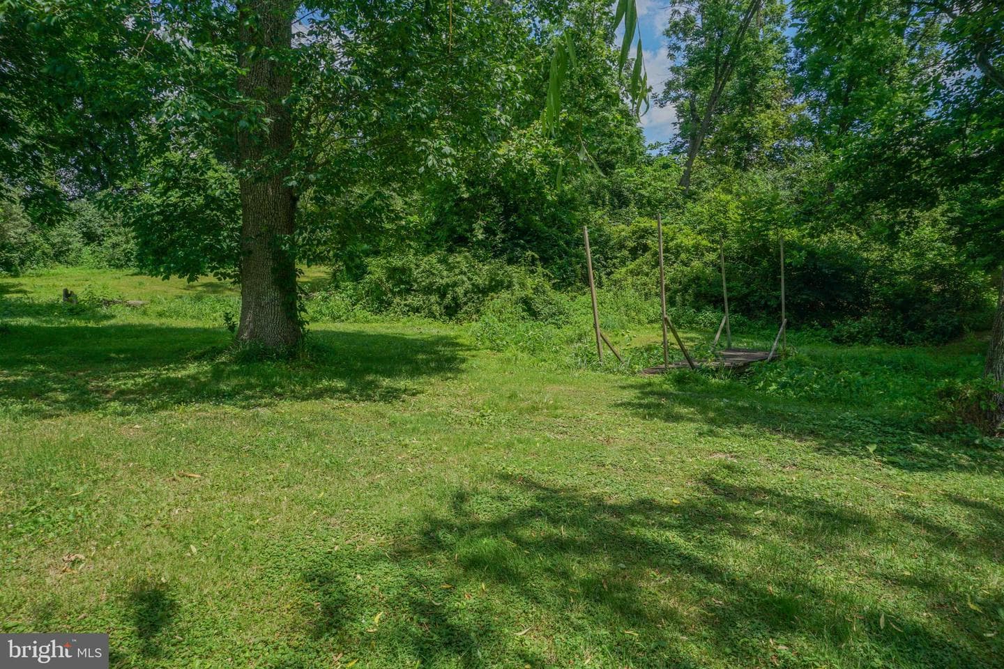 1303 Sunnyside Road photo 52