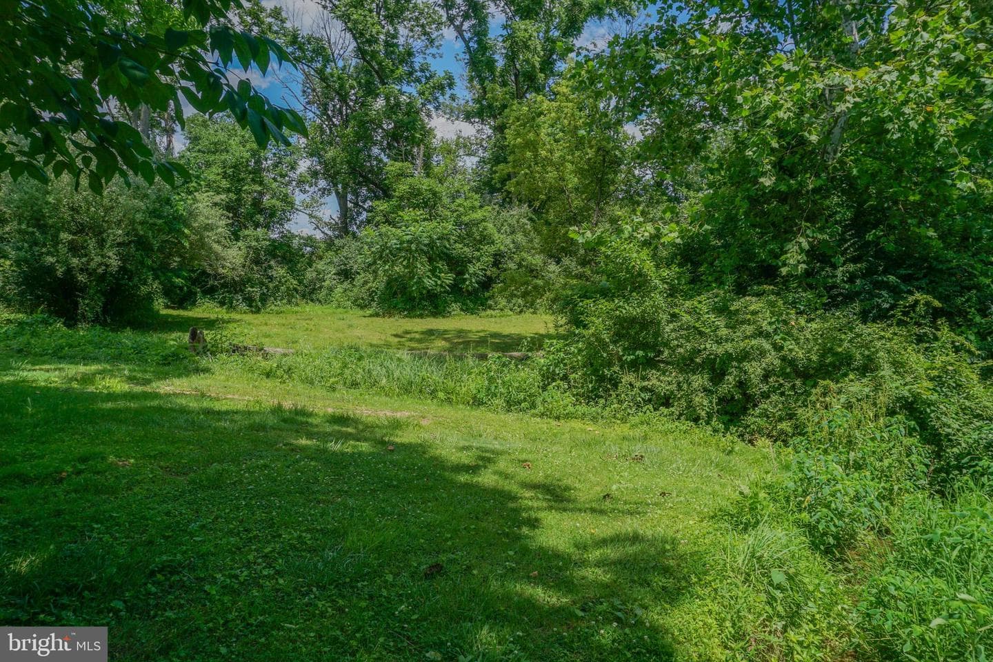 1303 Sunnyside Road photo 53