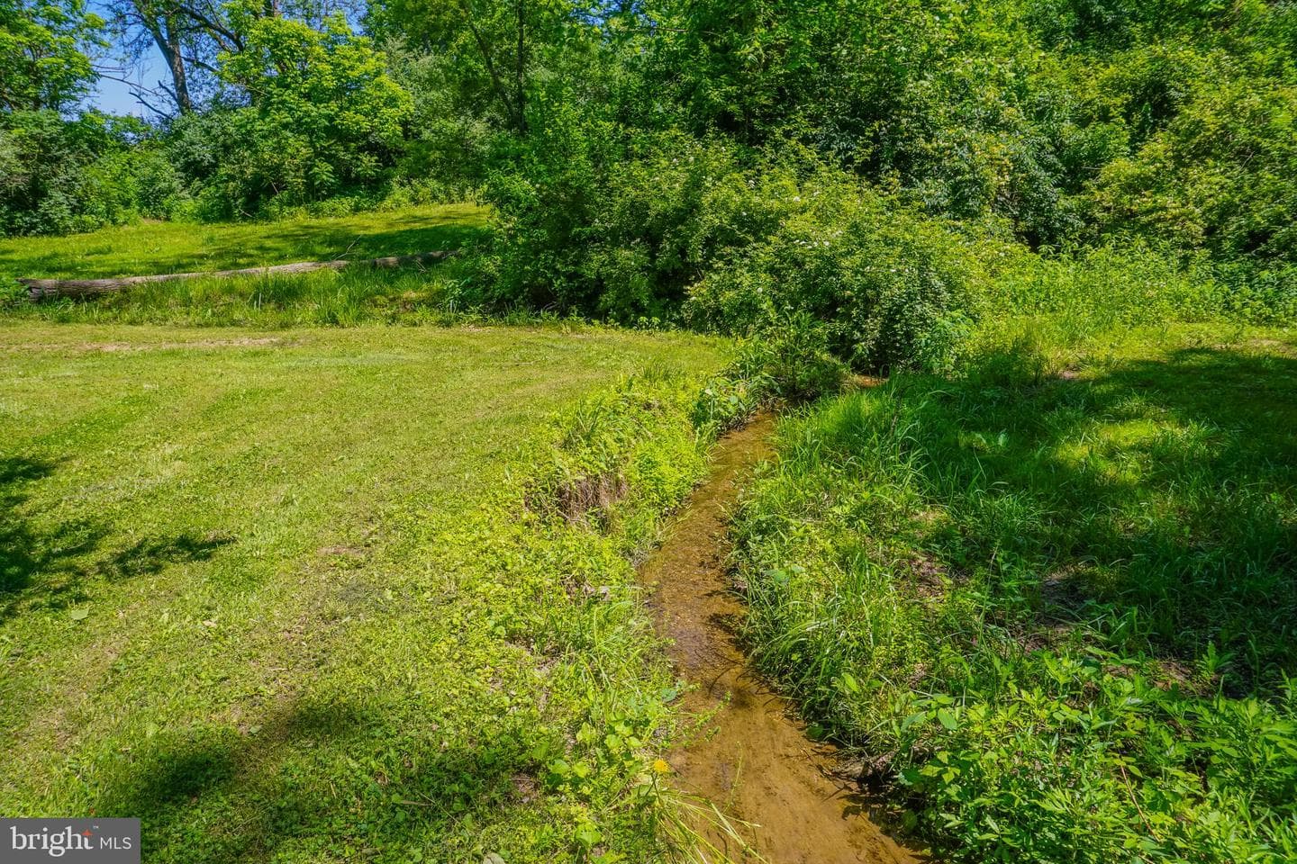 1303 Sunnyside Road photo 6