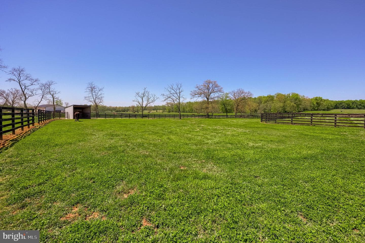 151 Warrington Street photo 108
