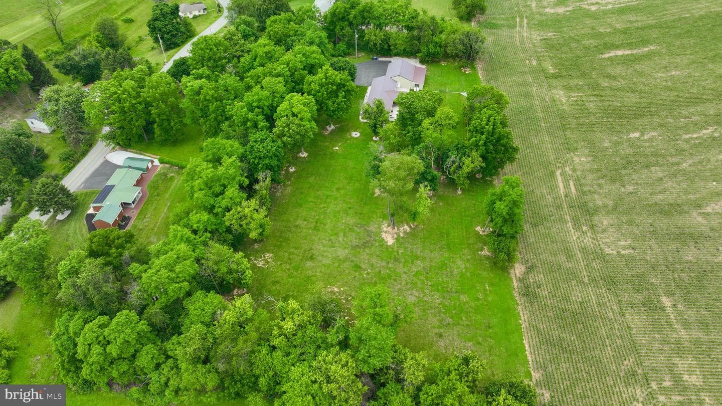 1025 White Oak Road photo 60