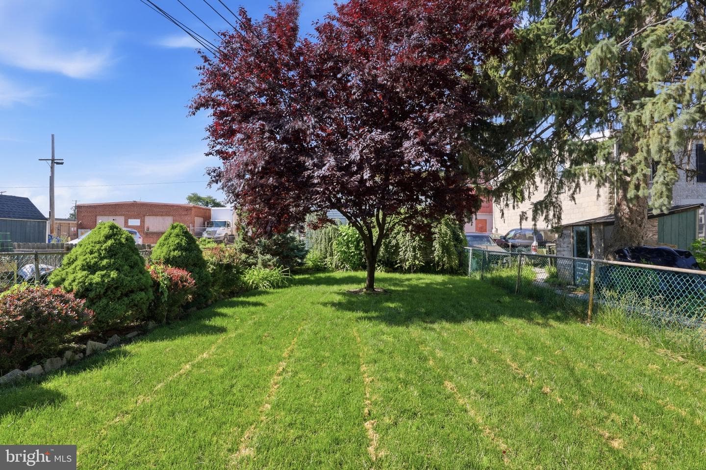 827 E Prospect Street photo 6