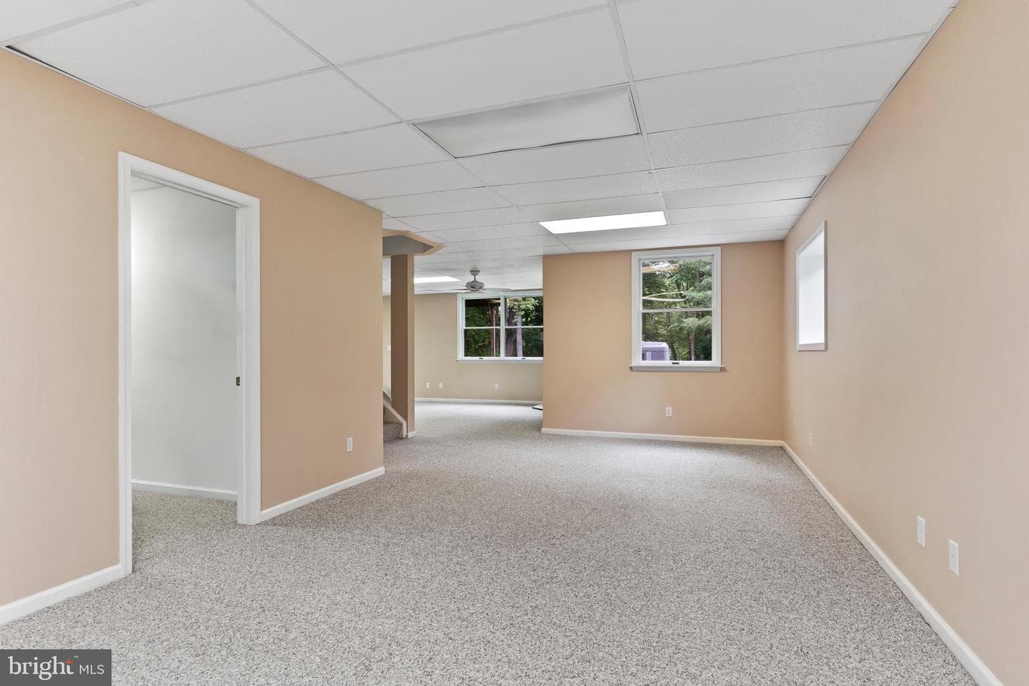 125 Foxfire photo 36